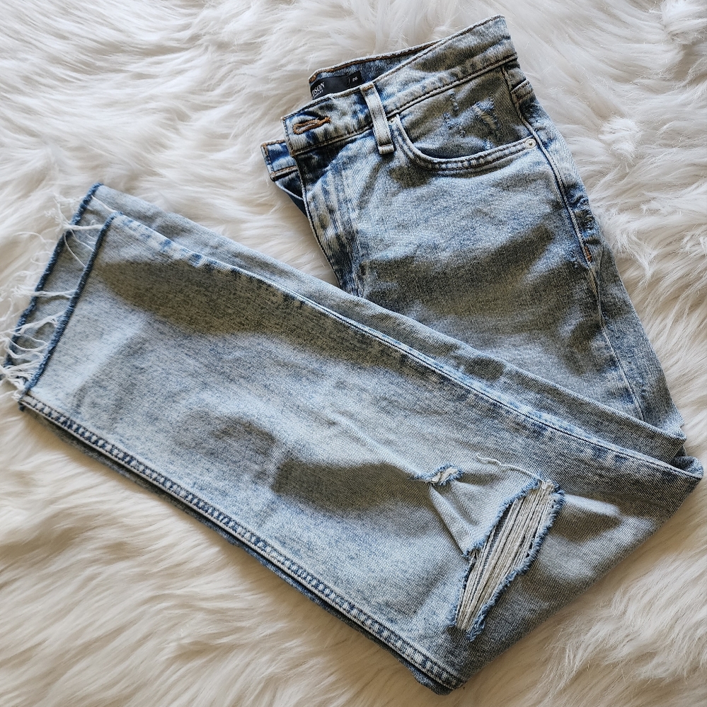 Hudson Remi Straight Cropped Jeans